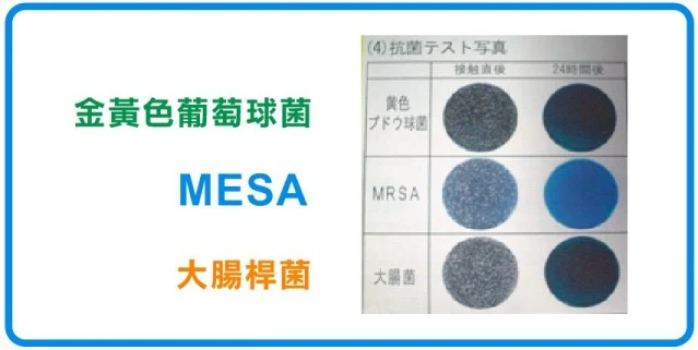 原網站菌種對比圖片,列出金黃色葡萄球菌、MRSA及大腸桿菌。